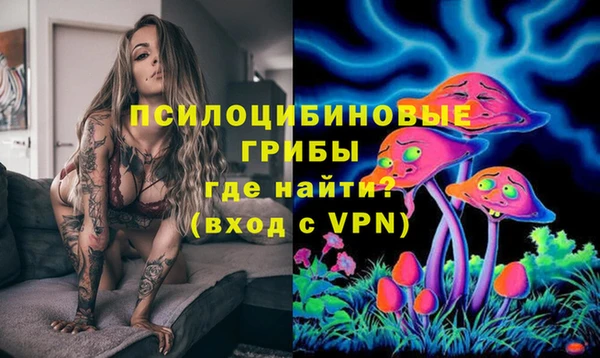ECSTASY Туринск