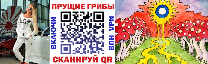 Купить где  Камень-на-Оби  Псилоцибиновые грибы Psilocybine cubensis 